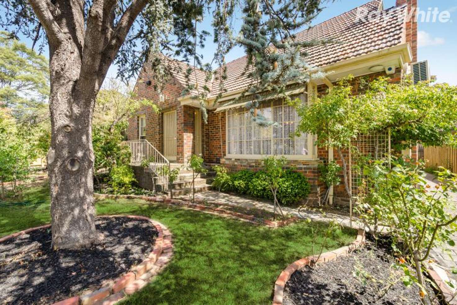 Main view of Homely house listing, 29 Forster Ave, Malvern East VIC 3145