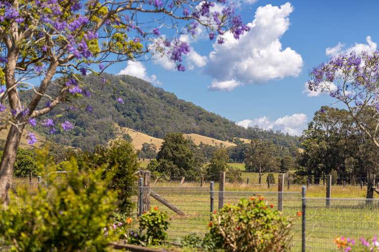 Fifth view of Homely acreageSemiRural listing, 466 Comboyne Road, Wingham NSW 2429