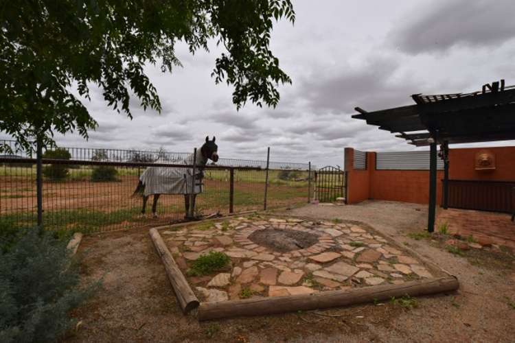 Main view of Homely acreageSemiRural listing, Lot 272 North Terrace, Quorn SA 5433