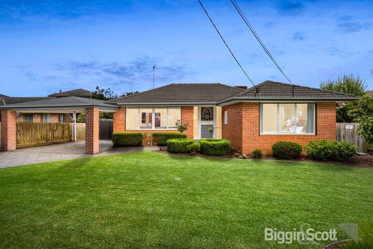 Main view of Homely house listing, 11 Elmwood Crescent, Glen Waverley VIC 3150