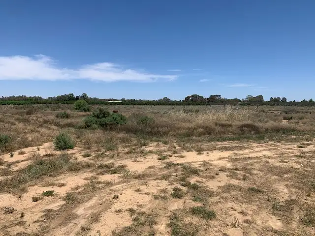 Sixth view of Homely rural property listing, 84 Poplar Rd, Curlwaa NSW 2648