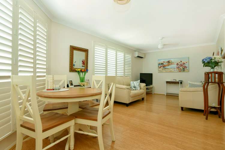 Main view of Homely unit listing, 3/101 South Street, Rangeville QLD 4350