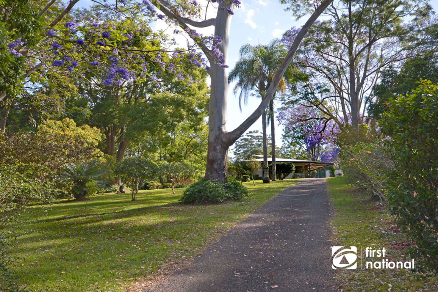 Main view of Homely house listing, 62 Alpine Tce, Tamborine Mountain QLD 4272