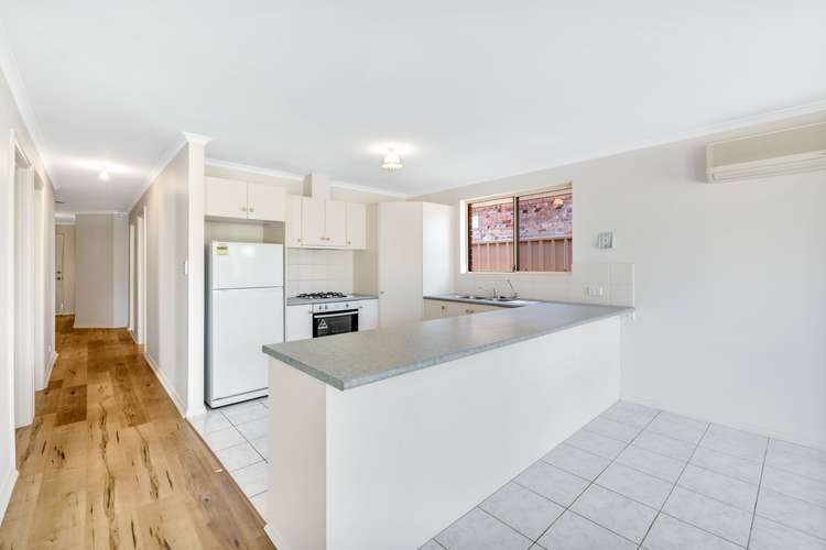 Third view of Homely house listing, 8 Park Terrace, Plympton Park SA 5038
