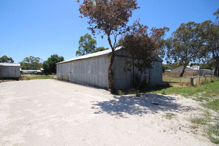 Main view of Homely house listing, 17 Steer Street, Mundulla SA 5270