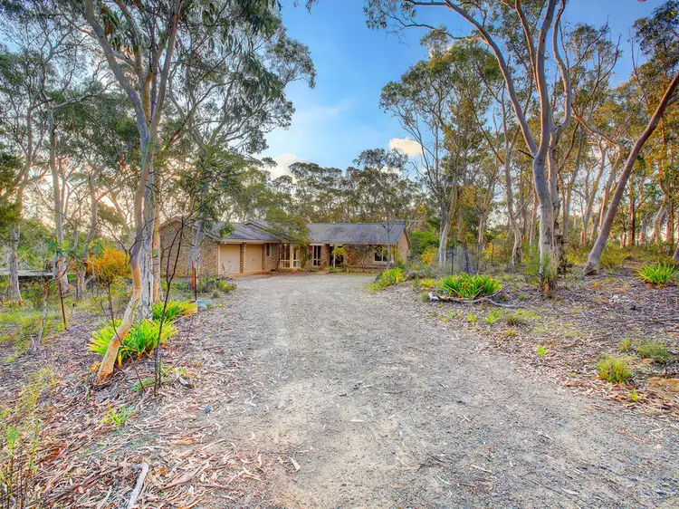 17 Scribbly Gum Avenue