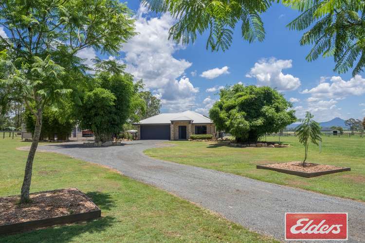 Third view of Homely house listing, 270 Cedar Grove Road, Cedar Grove QLD 4285