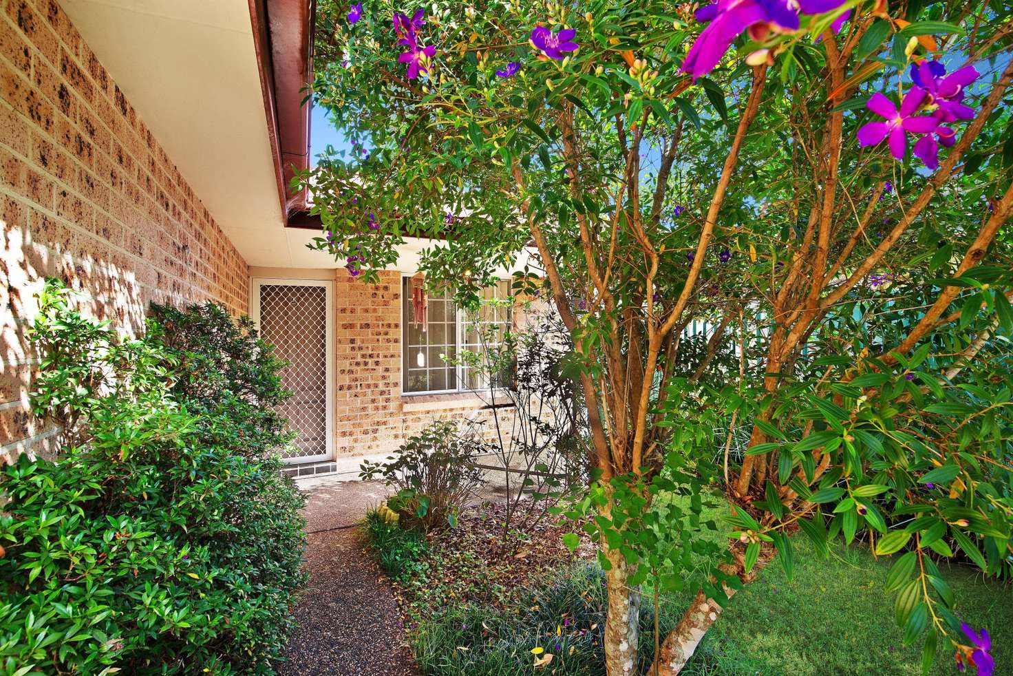 Main view of Homely villa listing, 19B Coraki Place, Ourimbah NSW 2258