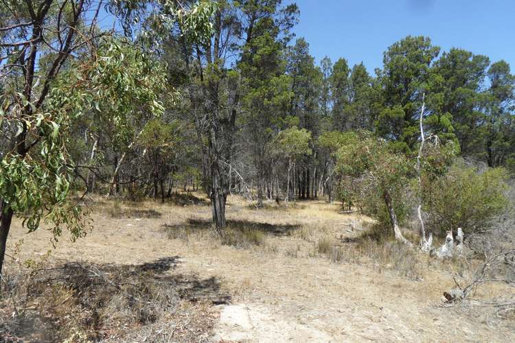 Fifth view of Homely residentialLand listing, Lot 53 Knott Road, Williamstown SA 5351