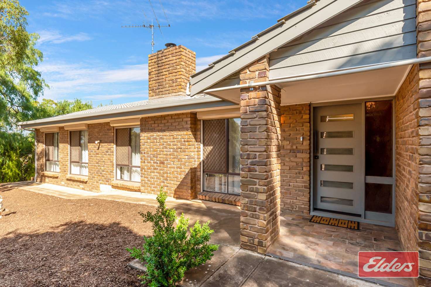 Main view of Homely house listing, 31 Holmes Street, Willaston SA 5118