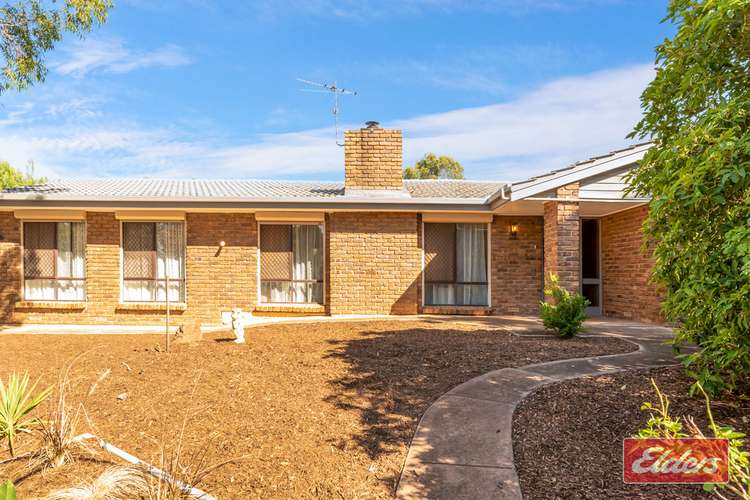 Third view of Homely house listing, 31 Holmes Street, Willaston SA 5118