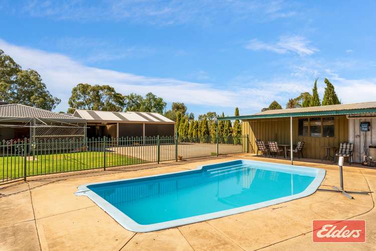 Fifth view of Homely house listing, 31 Holmes Street, Willaston SA 5118