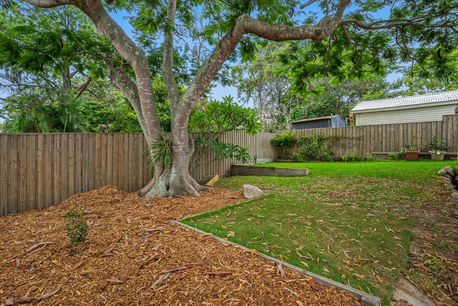 Main view of Homely house listing, 11 Burn Street, Camp Hill QLD 4152