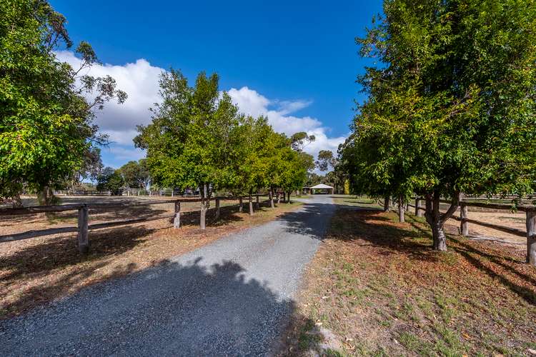Third view of Homely house listing, 386 Mortimer Road, Wellard WA 6170