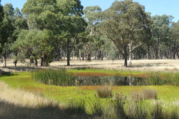 Seventh view of Homely lifestyle listing, Lot 1 TP84076 Skipton Road, Beaufort VIC 3373