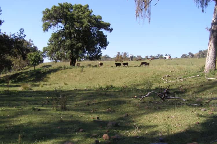 Main view of Homely livestock listing, "TWIN VALLEYS" Mossvale Rd Moonan Flat, Scone NSW 2337