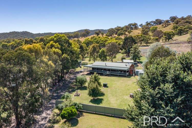 53B Gilmore Mill Road, Gilmore NSW 2720