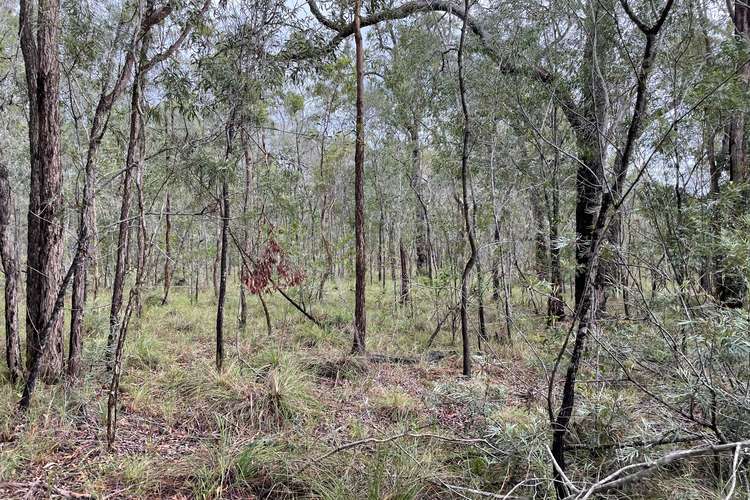 Fifth view of Homely residentialLand listing, Lot 3 Bootmaker Drive, Round Hill QLD 4677