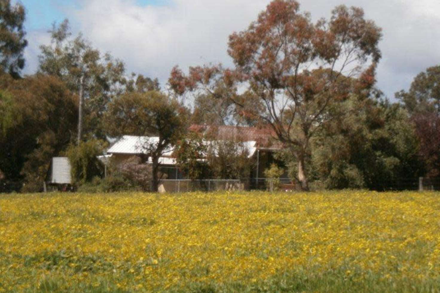 Main view of Homely livestock listing, 336 Greenfields Rd, Boyup Brook WA 6244
