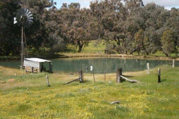 Third view of Homely livestock listing, 336 Greenfields Rd, Boyup Brook WA 6244