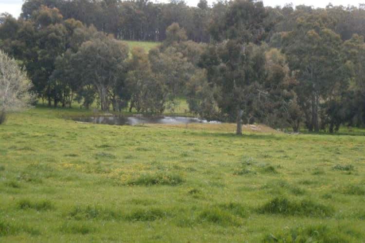 Fifth view of Homely livestock listing, 336 Greenfields Rd, Boyup Brook WA 6244