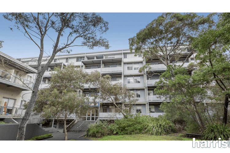 Main view of Homely apartment listing, 142/662 Blackburn Road, Notting Hill VIC 3168