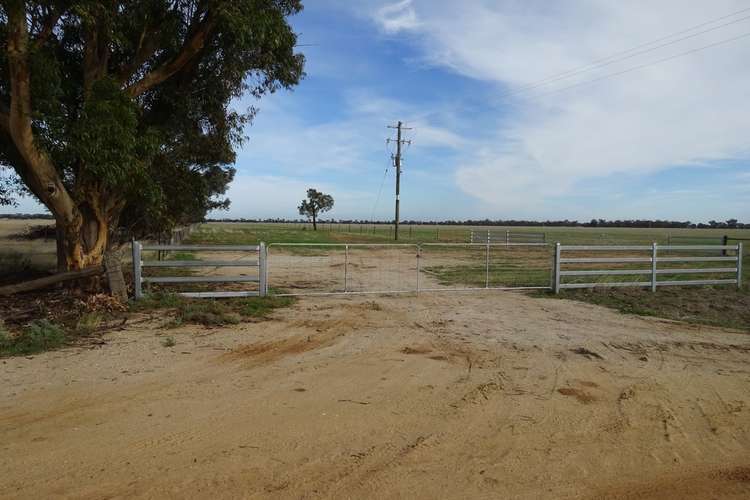 Main view of Homely cropping listing, 65 9 Mile Road, Moama NSW 2731