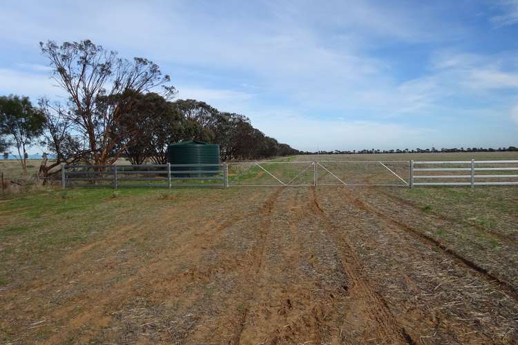 Second view of Homely cropping listing, 65 9 Mile Road, Moama NSW 2731