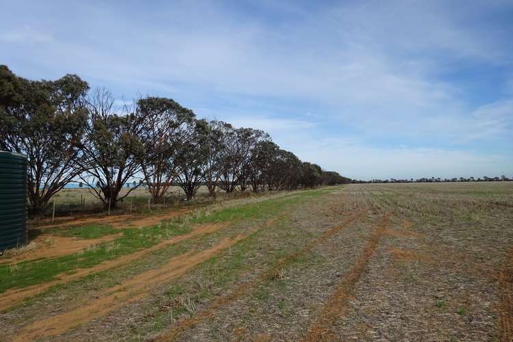 Fifth view of Homely cropping listing, 65 9 Mile Road, Moama NSW 2731