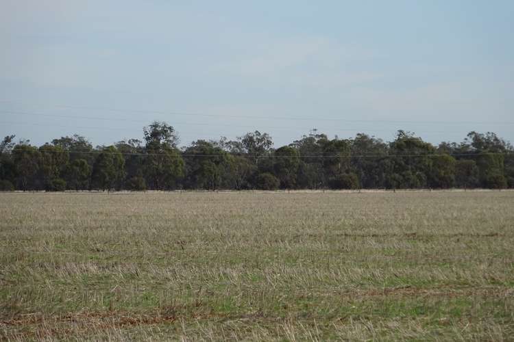 Sixth view of Homely cropping listing, 65 9 Mile Road, Moama NSW 2731
