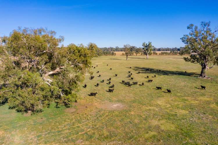 Third view of Homely mixedFarming listing, Mayfield 3859 Riverina Highway, Albury NSW 2640