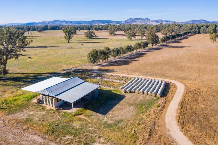 Fourth view of Homely mixedFarming listing, Mayfield 3859 Riverina Highway, Albury NSW 2640