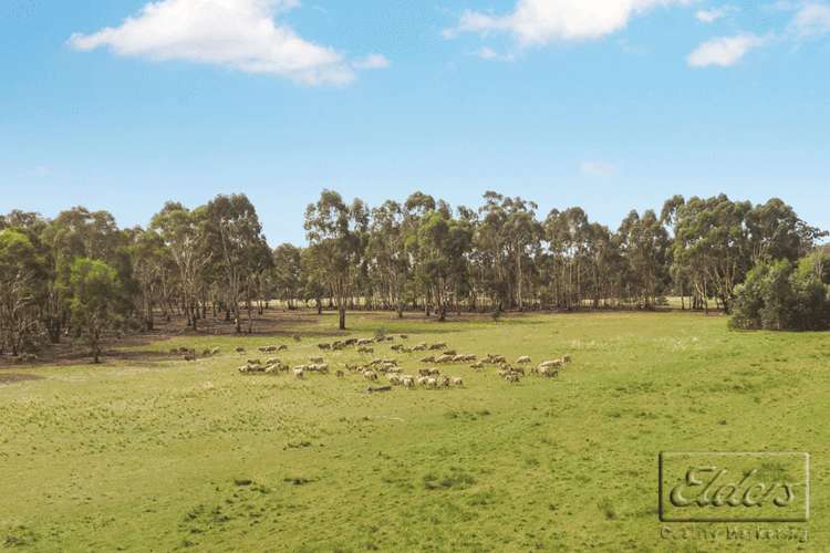 CA21 Axedale-Toolleen Road, Toolleen VIC 3551