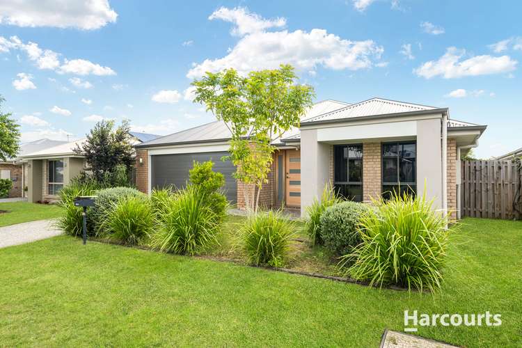 17 Casey Street, Pimpama QLD 4209