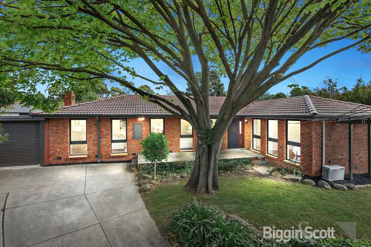 Main view of Homely house listing, 5 Dumfries Court, Glen Waverley VIC 3150