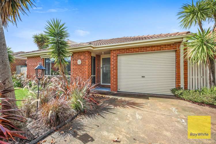 Main view of Homely house listing, 1/6 Dingle Court, Berwick VIC 3806