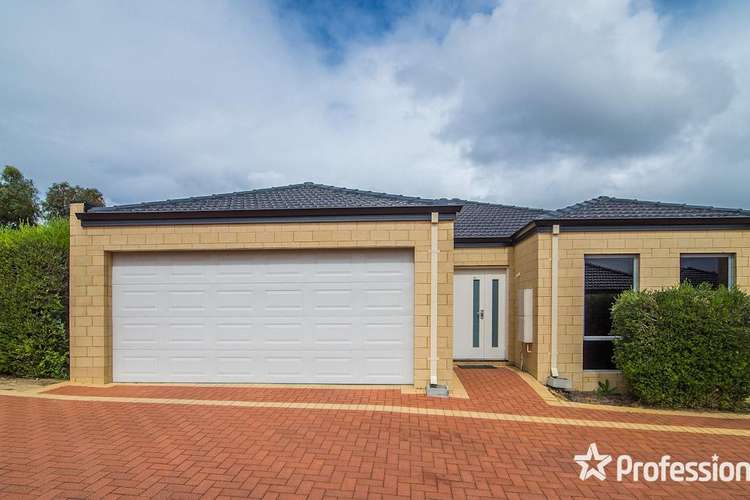 Main view of Homely house listing, 16/3071 Albany Highway, Armadale WA 6112