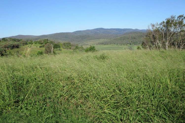 "BRAESIDE" 509 ACRES, Bell QLD 4408