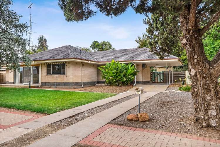 12 Nookamka Terrace, Barmera SA 5345