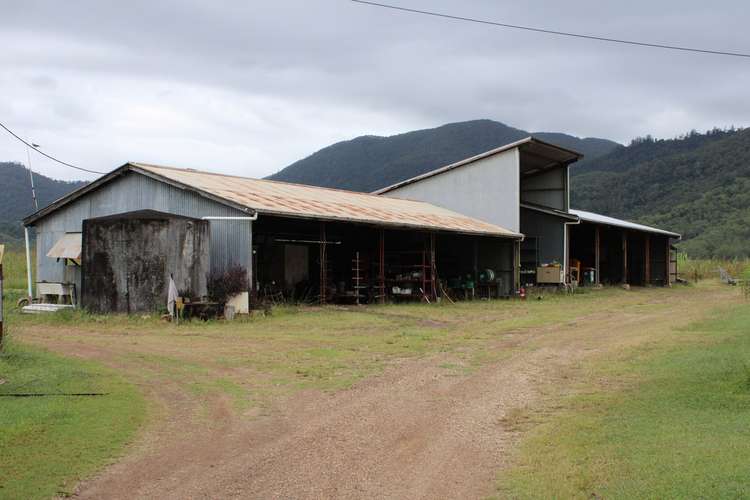 Fifth view of Homely livestock listing, 50 Vassallos Road, Brightly QLD 4741