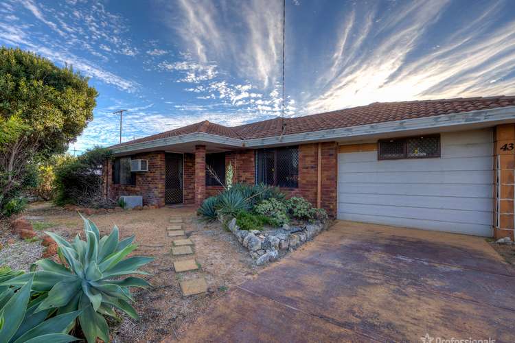 Second view of Homely house listing, 43 St Ives Drive, Yanchep WA 6035