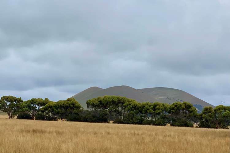 Third view of Homely mixedFarming listing, - Camperdown-Derrinallum Road, Derrinallum VIC 3325