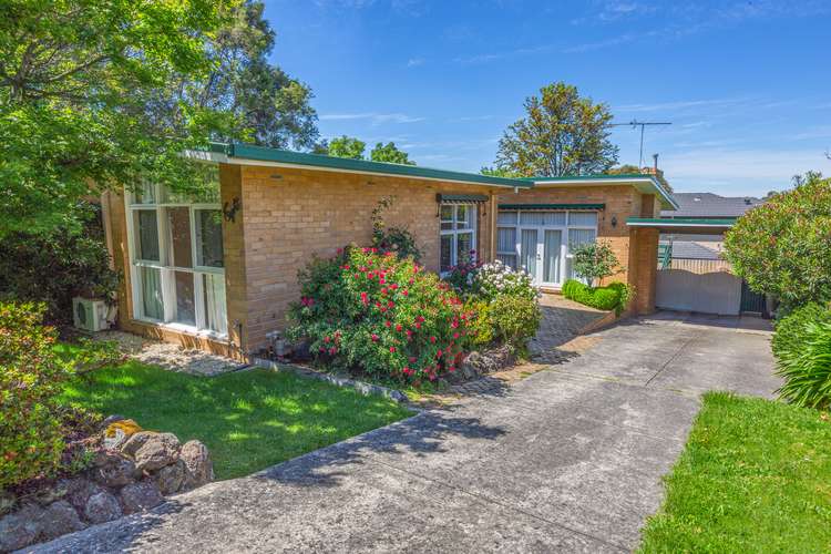 Main view of Homely house listing, 8 Simpson Drive, Mount Waverley VIC 3149