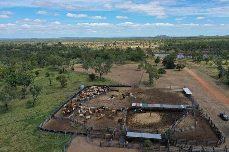 Main view of Homely livestock listing, Lot 3 Rocky Springs Road, Mount Surprise QLD 4871