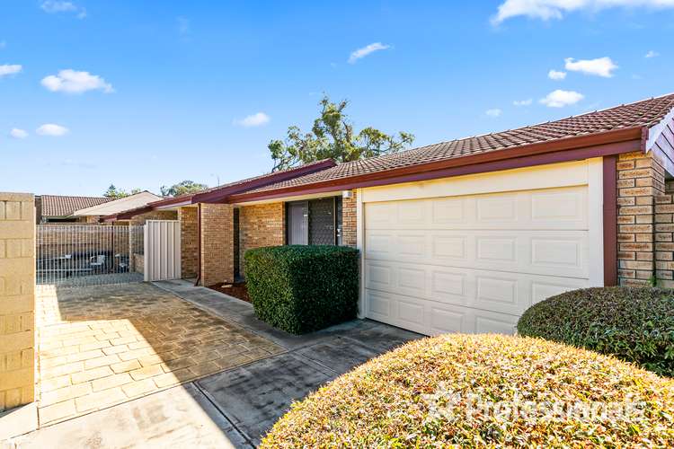 429 Marangaroo Drive, Alexander Heights WA 6064