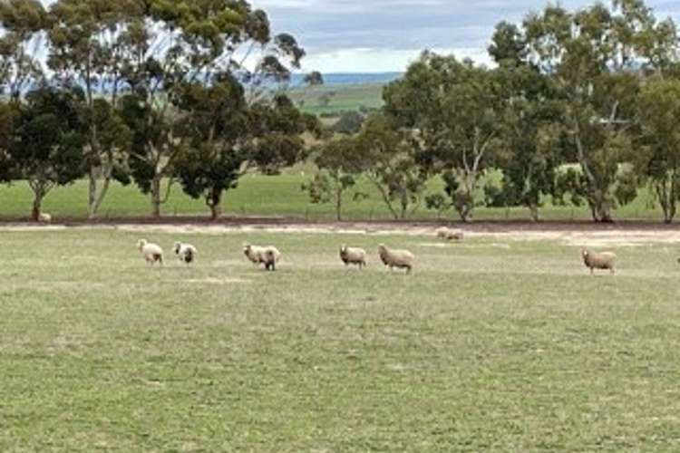 Main view of Homely cropping listing, 57 Grass Valley North Rd, Southern Brook WA 6401