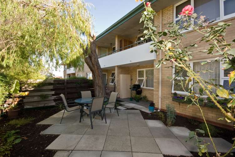 Main view of Homely unit listing, 7/29 Moldavia Street, Tuart Hill WA 6060