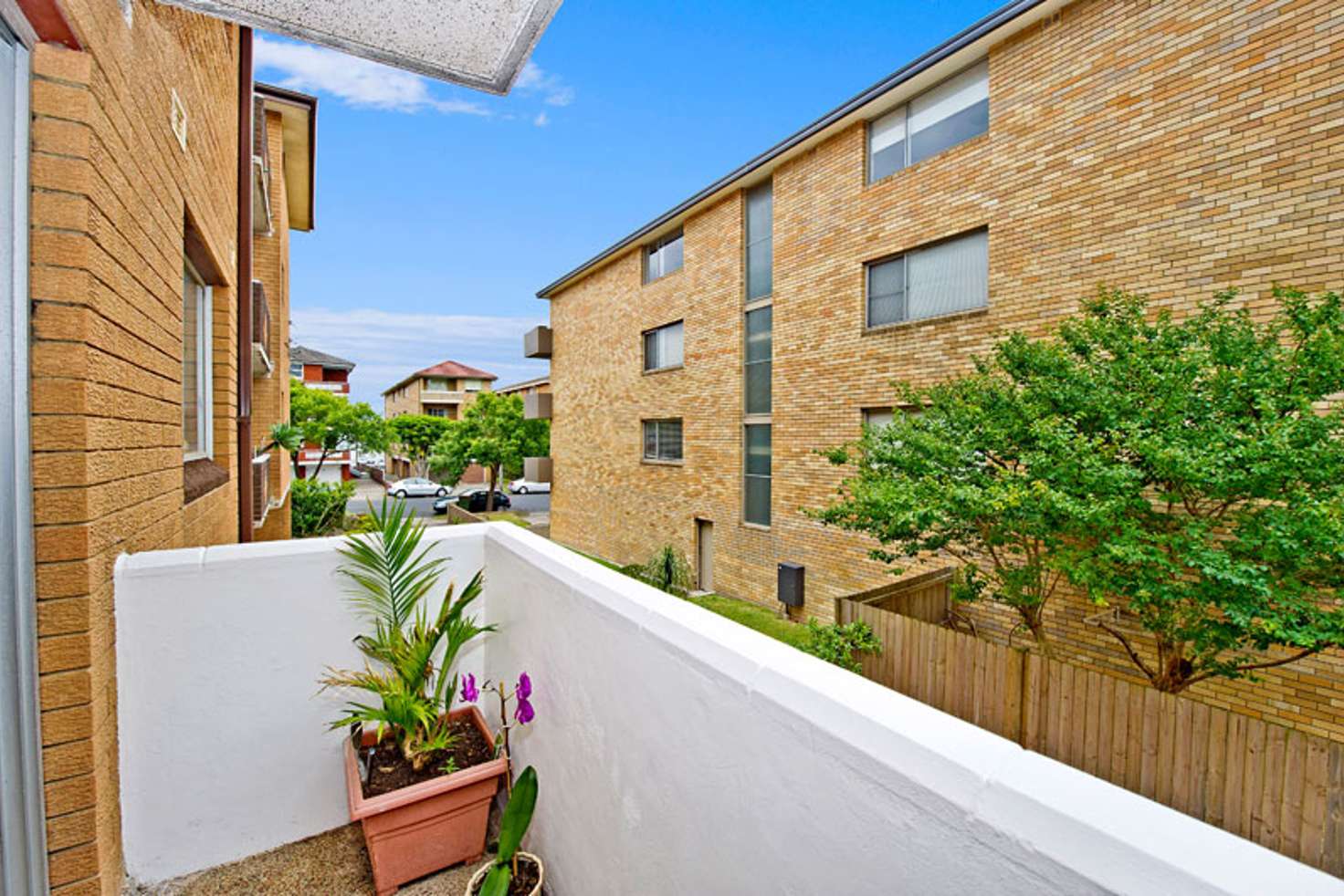 Main view of Homely apartment listing, 1/11-13 Blenheim St, Randwick NSW 2031