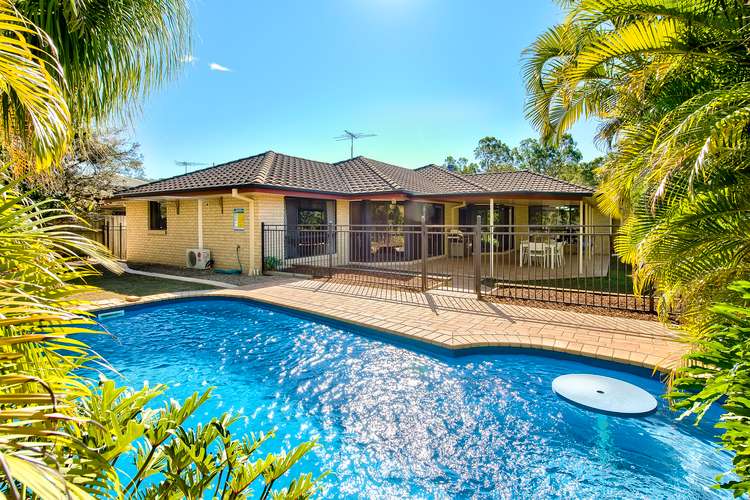 19 Wyellan Place, Upper Kedron QLD 4055