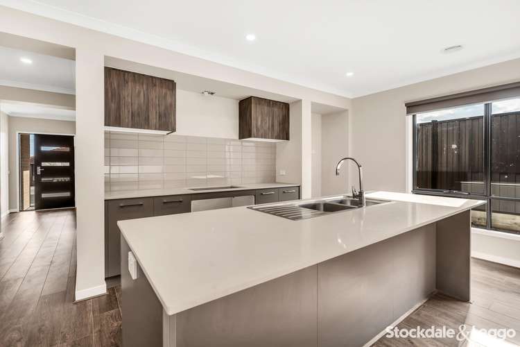 Third view of Homely house listing, 12 Roscoe Avenue, Kalkallo VIC 3064